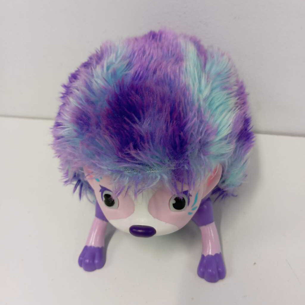 zoomer hedgehog