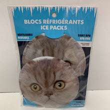 Load image into Gallery viewer, Blocs Refrigerants (divers styles)
